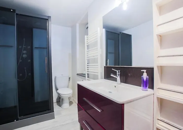 Appartement Spacieux Pour 4 Personnes Clermont-Ferrand